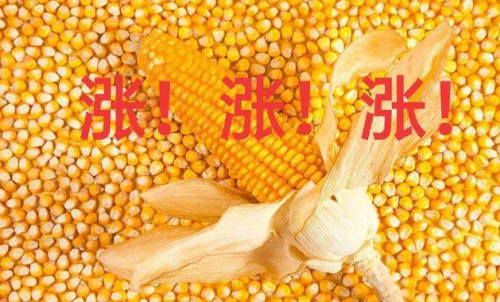 玉米期貨開戶要驗(yàn)資嗎？為何不能買